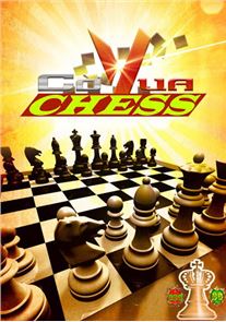 Imagen gran maestro de ajedrez