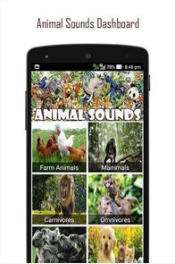 120 Animal Sounds image