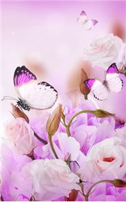 Butterfly Live Wallpaper image