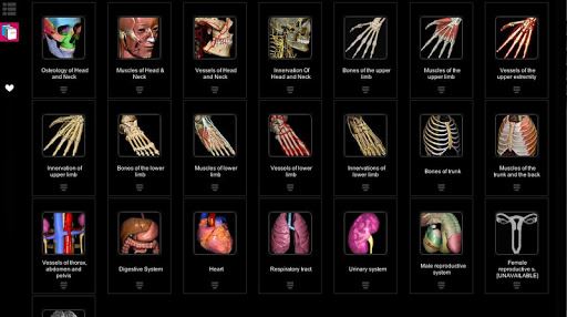 aprendizaje Anatomía - 3D la imagen Atlas