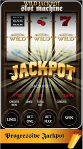 Wild Jackpot Slot Machine image