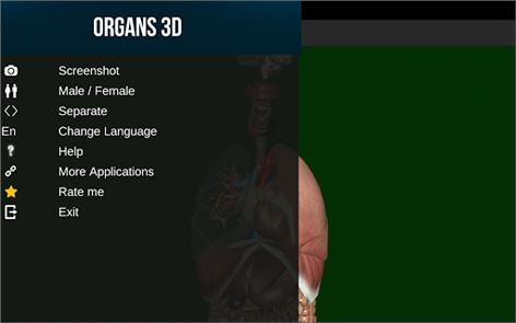 Organs 3D (Anatomy) image