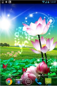 Lotus Live Wallpaper image