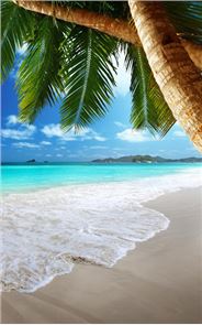 Tropical Beach Live Wallpaper image