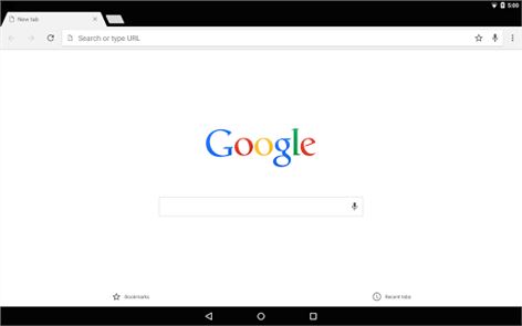 Chrome Browser - Google image