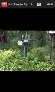 Live Camera Viewer for IP Cams image