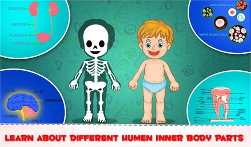 Learning Human Body Part 1 image