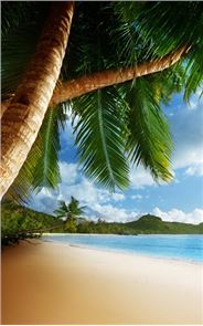 Tropical Beach Live Wallpaper image