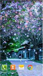 Sakura Live Wallpaper image