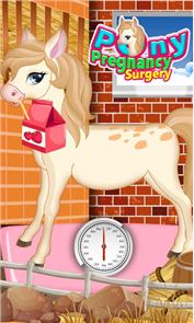 Pony Pregnancy Maternity image