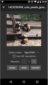 Convert GIF to Video & Share image