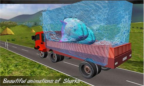 Transport Truck Shark Aquarium image