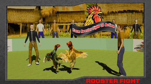 Farm Deadly Rooster Fighting image