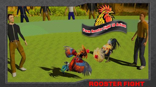 Farm Deadly Rooster Fighting image