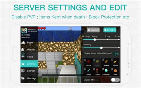 Blockman Multiplayer for MCPE image