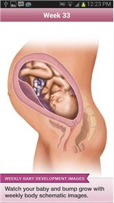BabyBump Pregnancy Pro image