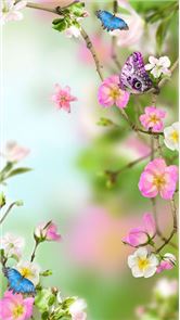 Flowers Live Wallpaper image