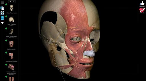 aprendizaje Anatomía - 3D la imagen Atlas