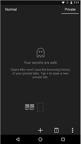 Opera Mini web image