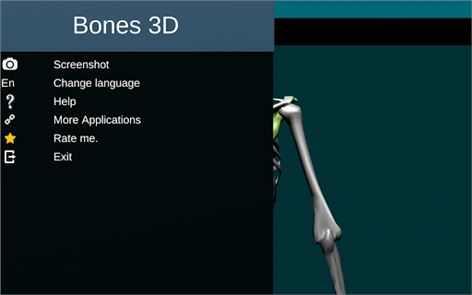 Bones Human 3D (anatomy) image