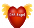 DNS Angel