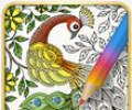 Garden Coloring Book