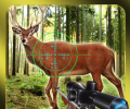 Deer Hunting Challenge
