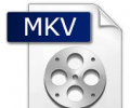MKV to AVI Converter