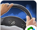 Simulator Driving Car