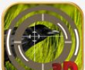 Crow Hunting 3d