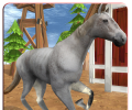 The Horse Simulator game