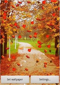 Autumn Live Wallpaper image