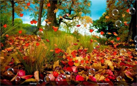 Autumn Live Wallpaper image