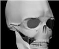 Bones Human 3D (anatomy)